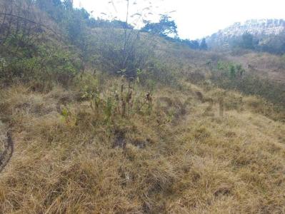 Quito, Pichincha 00001, Equador