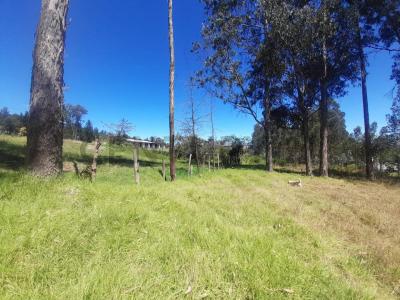 Jordan y Tesalia la Merced valle de los Chillos s/n, Quito, Pichincha 00001, Ecuador