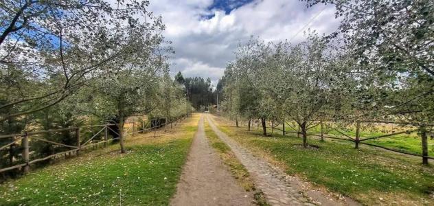 Lasso s/n, Latacunga, Cotopaxi 00001, 厄瓜多爾