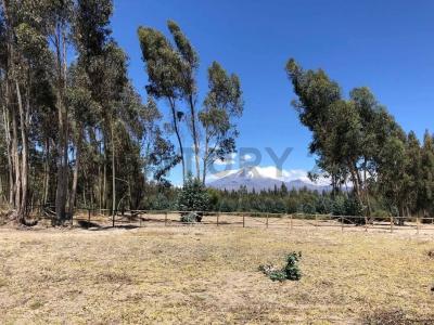 Lasso s/n, Latacunga, Cotopaxi 00001, 厄瓜多爾