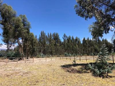 Lasso s/n, Latacunga, Cotopaxi 00001, 厄瓜多爾