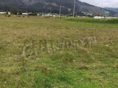 Tunshi 008, Riobamba, Chimborazo 00001, Ecuador