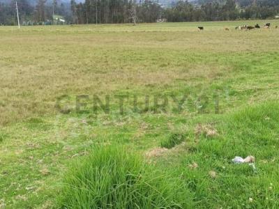 Tunshi 008, Riobamba, Chimborazo 00001, Ecuador