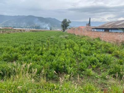 Chambo, El Vergel 026, Riobamba, Chimborazo 00001, Ecuador