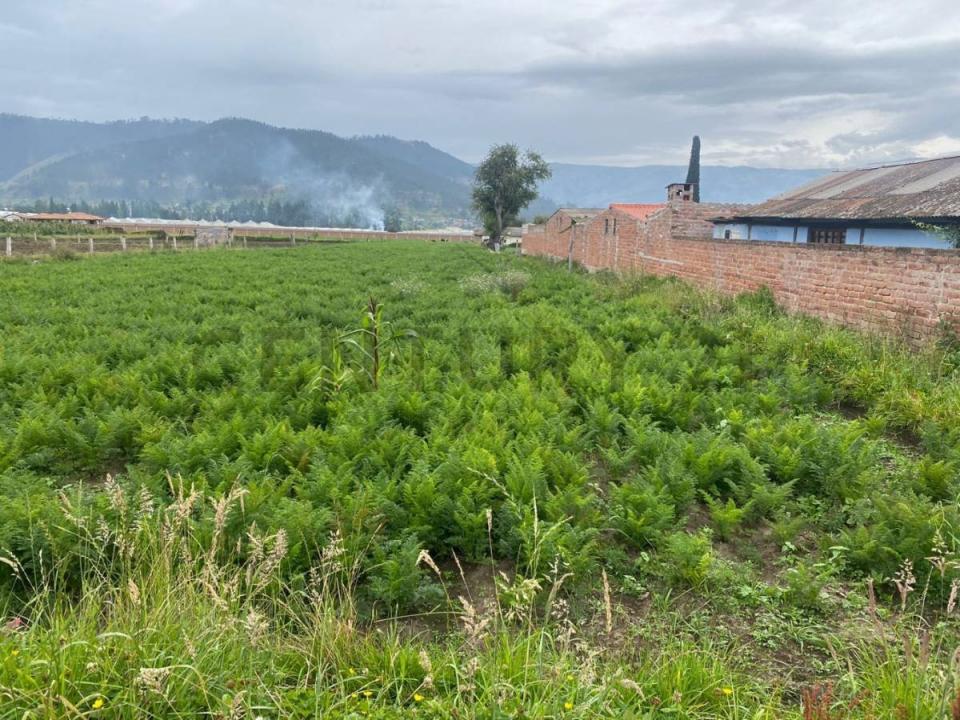 Chambo, El Vergel 026, Riobamba, Chimborazo 00001, 에쿠아도르