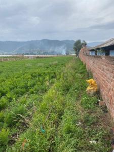 Chambo, El Vergel 026, Riobamba, Chimborazo 00001, 에쿠아도르