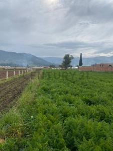 Chambo, El Vergel 026, Riobamba, Chimborazo 00001, 에쿠아도르