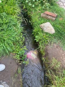 Chambo, El Vergel 026, Riobamba, Chimborazo 00001, 에쿠아도르