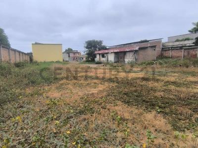 AV. MACHALILLA Y MARIA INMACULADA SN, Puerto Lopez, Manabí 00001, Ecuador