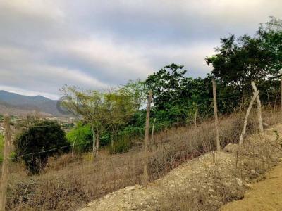 via platanales sn, Puerto Lopez, Manabí 00001, Ecuador