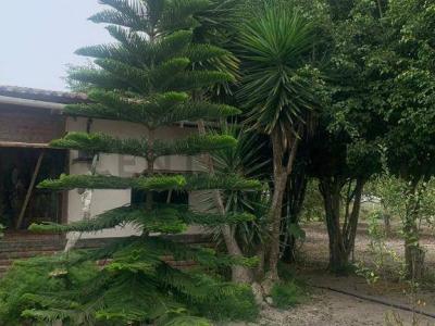 El Aromo, Via Spondylus S/N, Manta, Manabí 00001, 厄瓜多爾