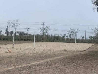 El Aromo, Via Spondylus S/N, Manta, Manabí 00001, 厄瓜多爾