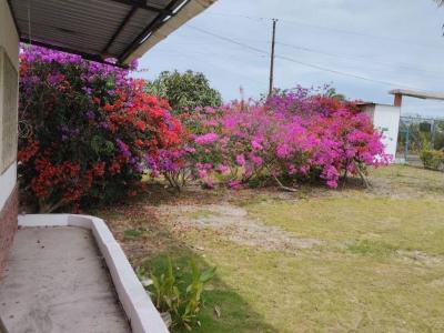 Sitio el Aromo, Sector La Sierrita sn, Manta, Manabí 00001, Ecuador