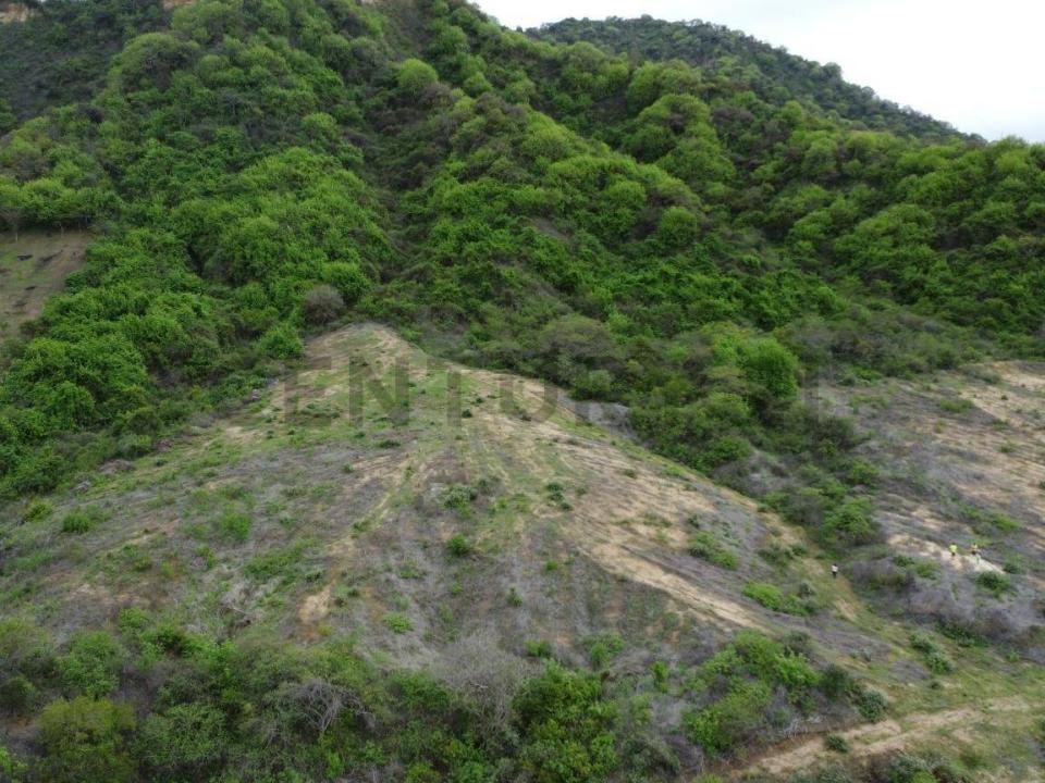 San Clemente, lotización Costa del Sol s/n, Sucre, Manabí 00001, Ecuador