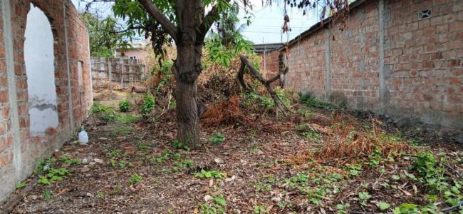 Barrio Altamira S/N, Manta, Manabí 00001, Ecuador