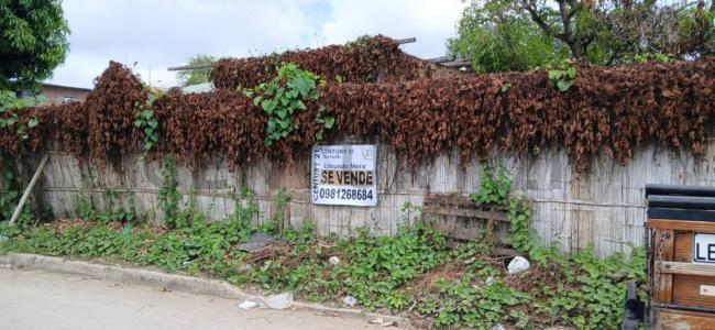 Barrio Altamira S/N, Manta, Manabí 00001, Эквадор