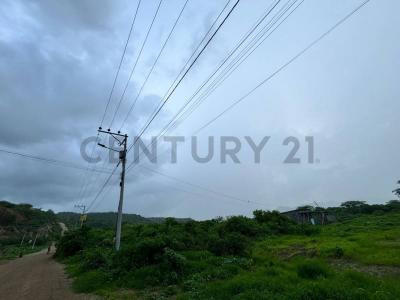 AVENIDA MACHALILLA Y CALLE E 01, Puerto Lopez, Manabí 00001, Ecuador