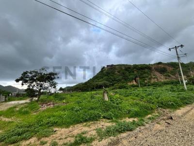AVENIDA MACHALILLA Y CALLE E 01, Puerto Lopez, Manabí 00001, Ecuador