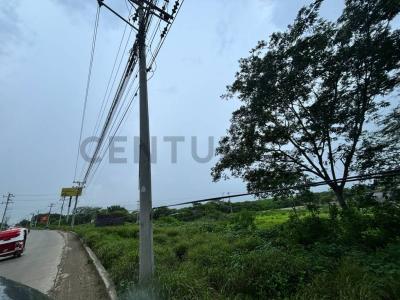 AVENIDA MACHALILLA Y CALLE E 01, Puerto Lopez, Manabí 00001, Ecuador