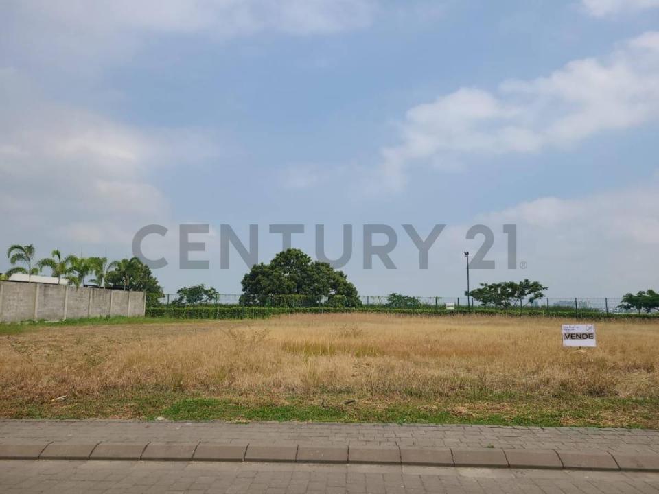 Ciuadad Celeste, Etapa Estribor, Km. 9 Via Samborondon, Guayaquil, Guayas 00001, 厄瓜多尔