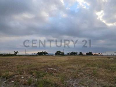 Ciuadad Celeste, Etapa Estribor, Km. 9 Via Samborondon, Guayaquil, Guayas 00001, 厄瓜多尔