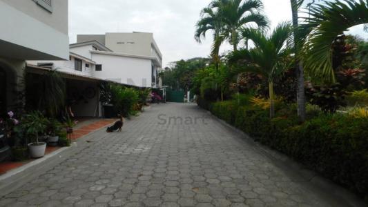 Guayaquil, Guayas 00001, Ecuador