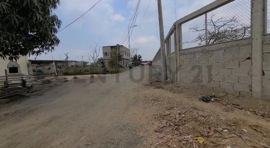 Guayaquil, Guayas 00001, Эквадор