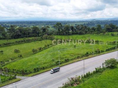 Santo Domingo, Santo Domingo 00001, Ekvador