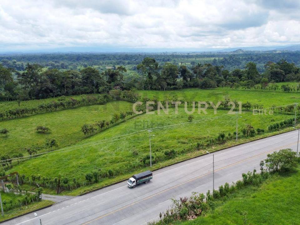 Santo Domingo, Santo Domingo 00001, Ecuador