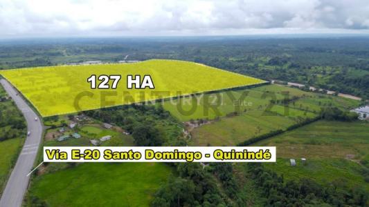 Santo Domingo, Santo Domingo 00001, Ecuador