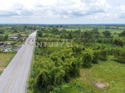 Santo Domingo, Santo Domingo 00001, Ecuador