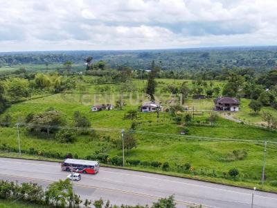 Santo Domingo, Santo Domingo 00001, Ecuador