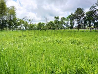 Santo Domingo, Santo Domingo 00001, Ecuador