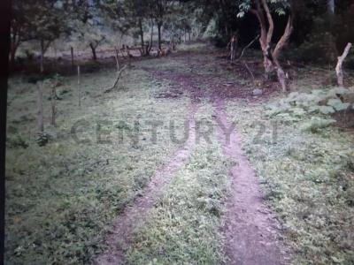 Quito, Pichincha 00001, Ecuador