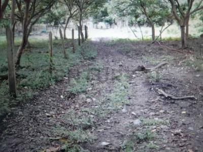 Quito, Pichincha 00001, Ecuador