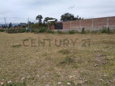 Riobamba, Chimborazo 00001, 에쿠아도르