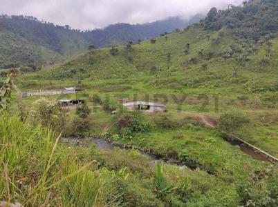 La Maná, Cotopaxi 00001, Ecuador