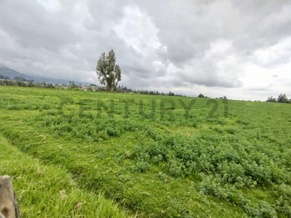 Latacunga, Cotopaxi 00001, Ecuador