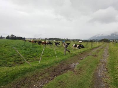 Latacunga, Cotopaxi 00001, Ecuador