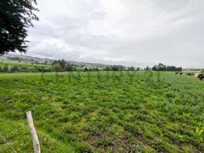 Latacunga, Cotopaxi 00001, Ecuador