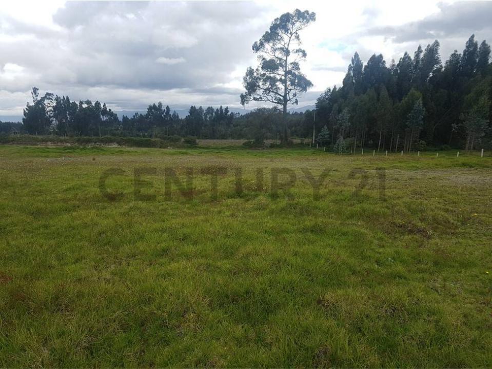 Latacunga, Cotopaxi 00001, Ecuador