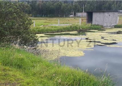 Latacunga, Cotopaxi 00001, Ecuador