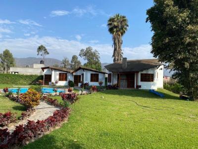 Anexo San Vicente de Azpitia , Cañete, Lima 00001, ペルー