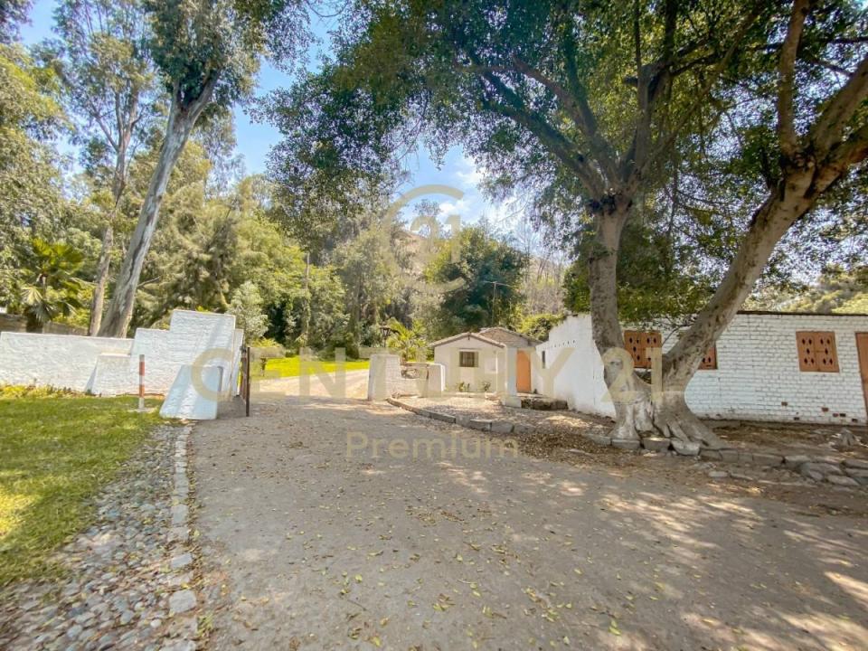 Las Torcazas , Lima, Lima 00001, 秘魯