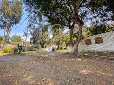 Las Torcazas , Lima, Lima 00001, 秘魯