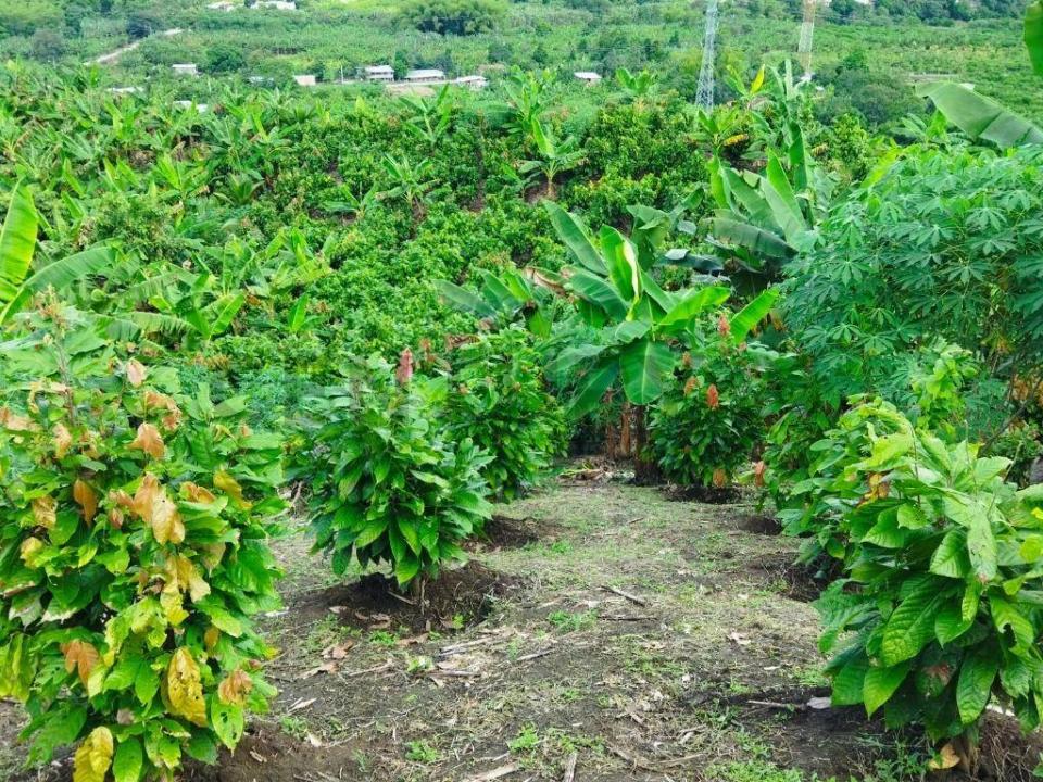 Portoviejo, Manabí 00001, Ekvador