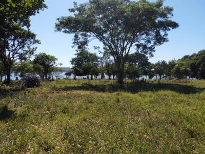 Caraguata , Encarnación, Itapúa 00001, Paraguay