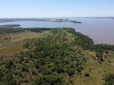 Caraguata , Encarnación, Itapúa 00001, Paraguai