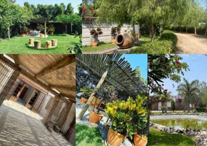 San regis , Chincha, Ica 00001, Peru