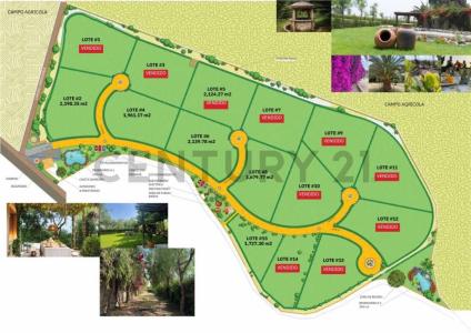 San regis , Chincha, Ica 00001, Peru